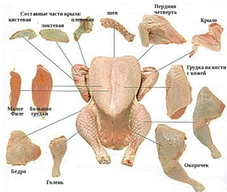 МЯСО КУРИЦЫ